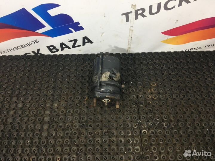 Энергоаккумулятор тормозной Man TGL