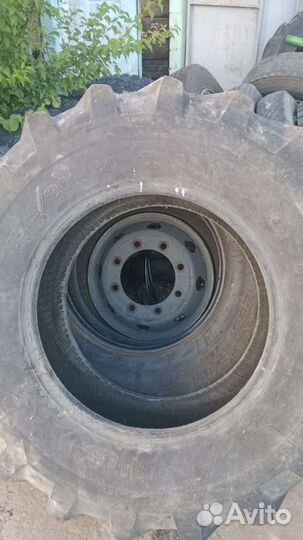 Mitas CT-01 15.5/80 R24 и 15.5/80 R24