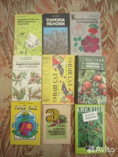 А.И. Коровин. О.Н. Коровина. Погода, огород и сад