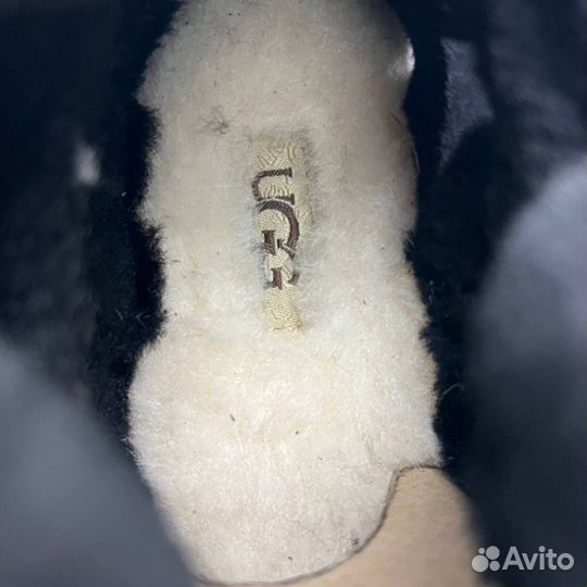 Зимние Кроссовки Угги UGG Lowmel Black