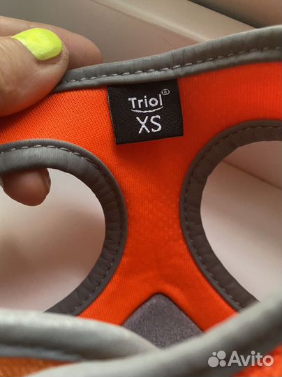 Шлейка для маленькой собачки