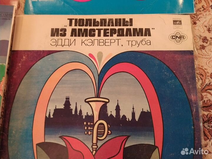 Виниловые пластинки