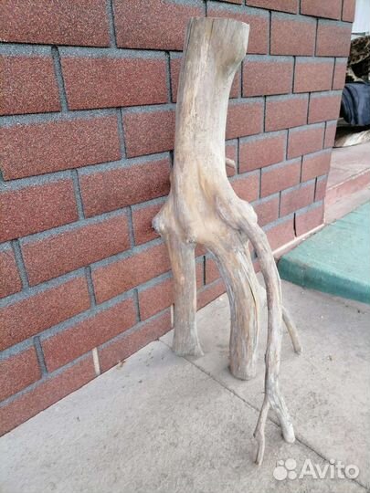 Коряга дуб бронь до 09.10.23