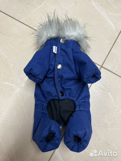 Одежда для собак мелких пород