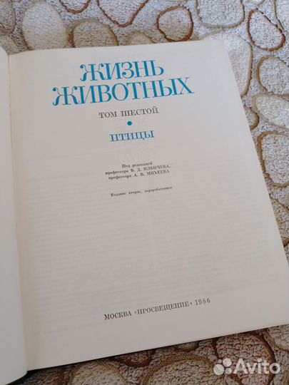 Жизнь животных