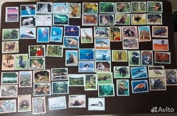 Наклейки Живая планета 4D, продажа