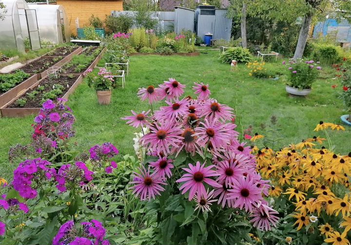 Дача 30 м² на участке 6 сот.