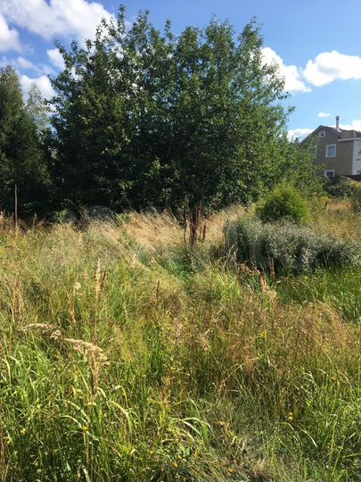 Участок 8,3 сот. (СНТ, ДНП)