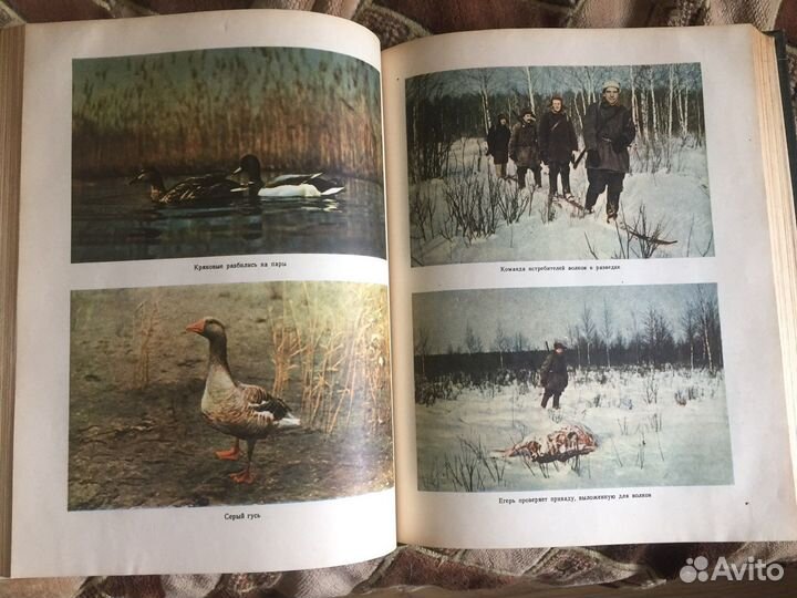 Настольная книга охотника спортсмена