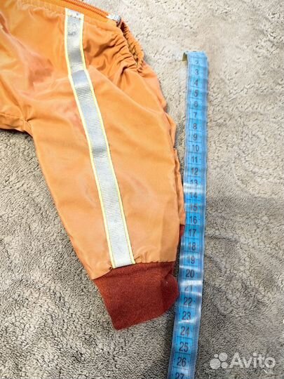 Костюм для маленькой собачки