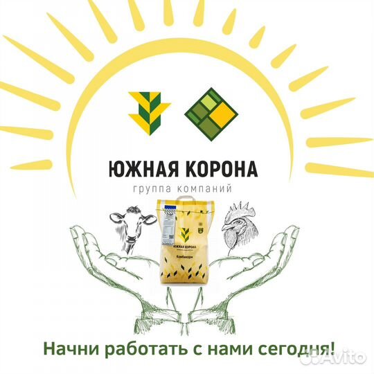 Главный агроном