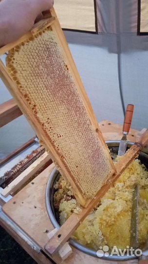 Мед свежий разнотравье 2023