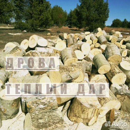 Дрова березовые осиновые ольховые