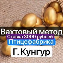 Подсобные рабочие птицефабрика г. Кунгур вахта