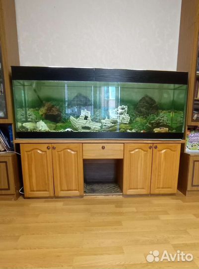 Аквариум на 500 литров