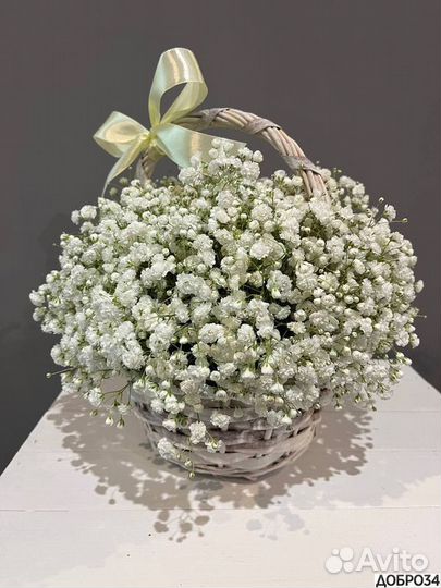 Цветы гипсофила