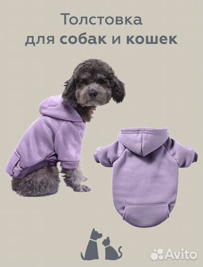 Одежда для собак и кошек. Толстовка для животных