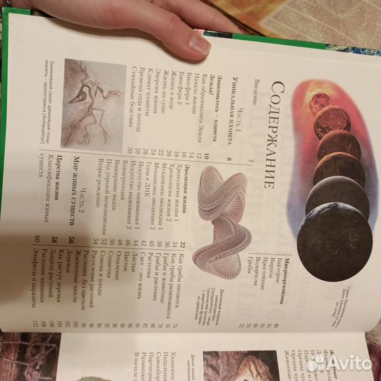 Энциклопедия живой природы махаон