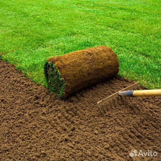 Рулонный газон с укладкой от производителя