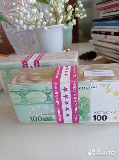 Копилка новая