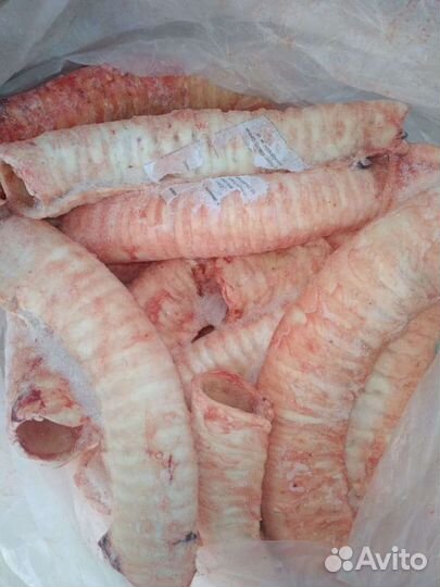 Трахея говяжья на корм и сушку для животных