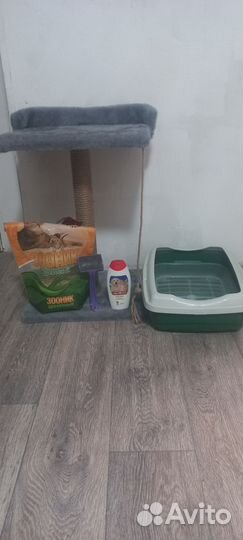 Всё для котика