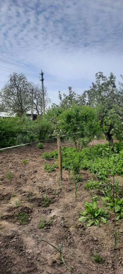 Участок 7 сот. (ИЖС)