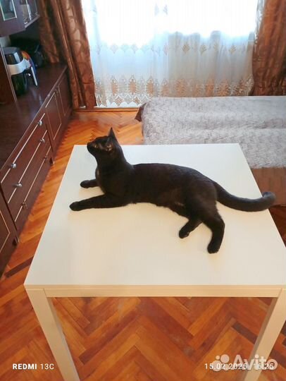 Кухонный стол и стулья