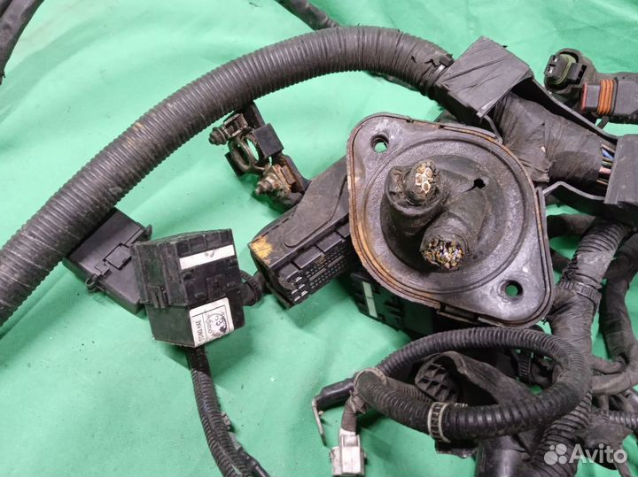 Hyundai Santa Fe II Проводка двигателя. Дизель 2.2