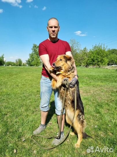 Отдам в добрые руки