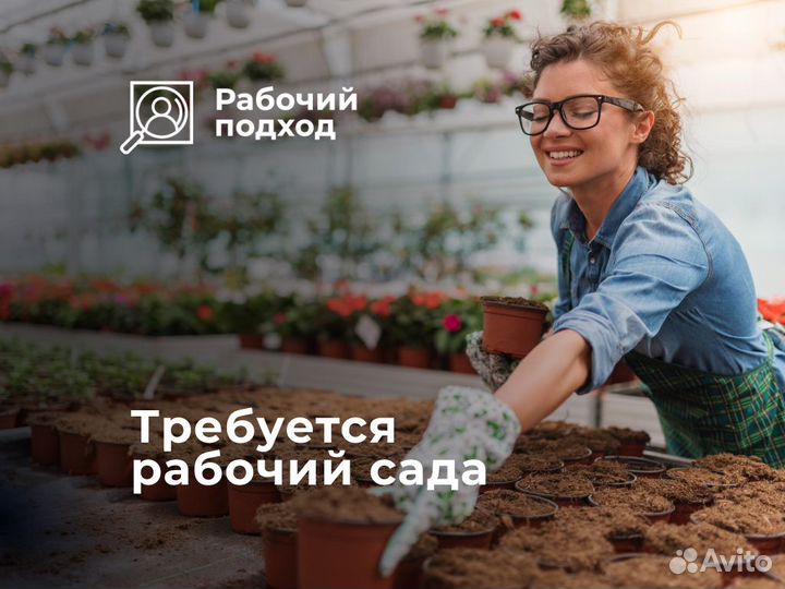 Разнорабочий Вахта / В Сады с проживанием