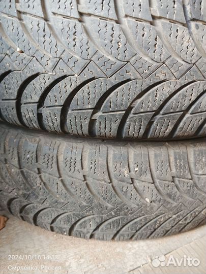 Nexen Winguard Snow G 175/70 R14 88