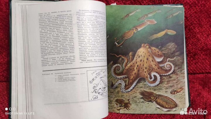 Книга Жизнь животных 2 тома СССР