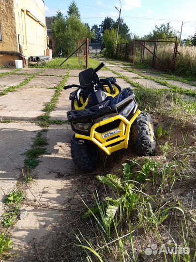 Электро квадроцикл