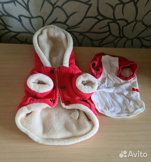 Одежда для собаки