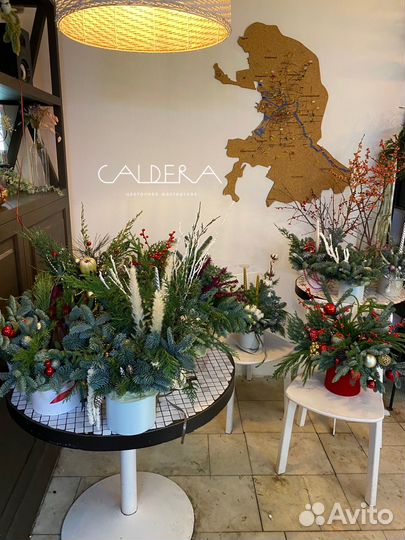 Зимняя композиция из нобилиса (не осыпается)