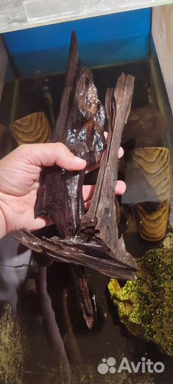 Декорации для аквариума