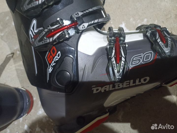 Горные лыжи