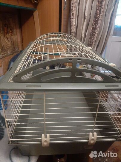 Продам клетки для грвзунов 1500 т р и 2500тр