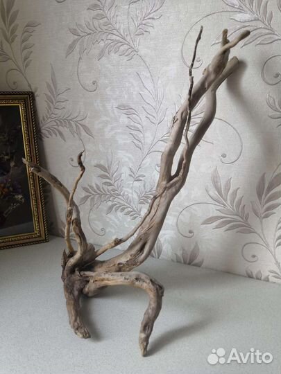 Коряга для аквариума или террариума