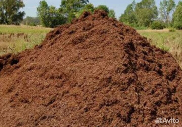 Перегной конский и коровий, навоз свежий