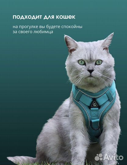 Шлейка для собак и кошек