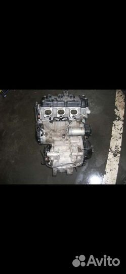 Двигатель triumph daytona 955i