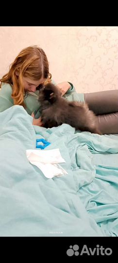 Выгул собак с 12 летняя ставка