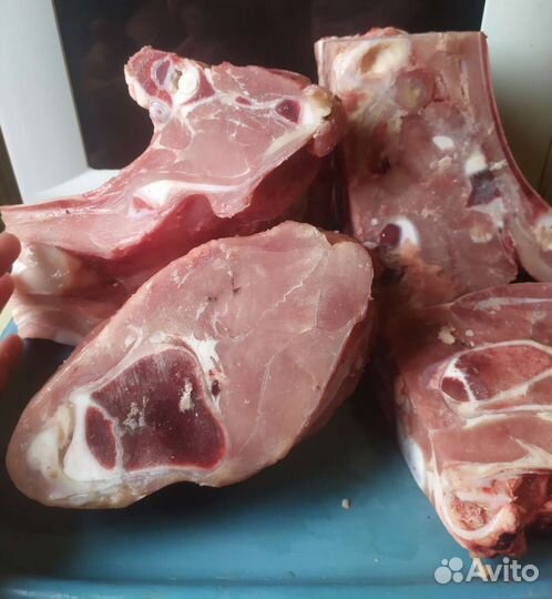 Мясо для собак, телятина