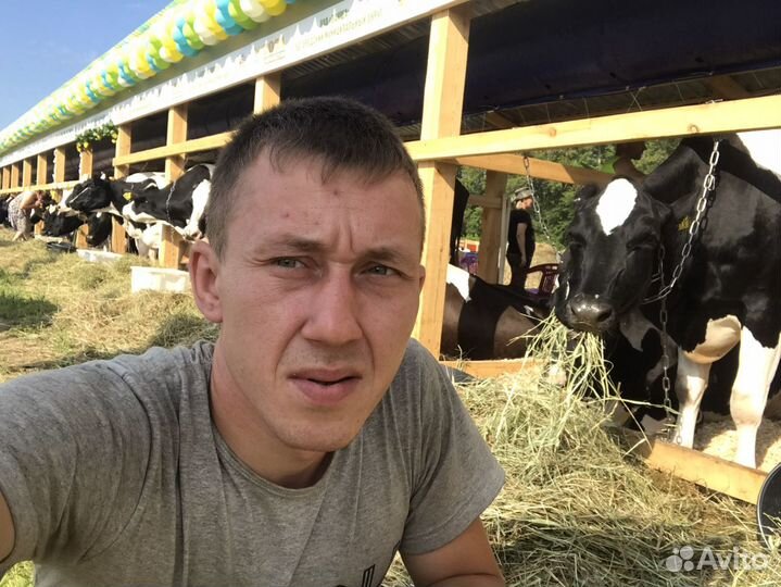 Мастер на час.Помощник по дому и хозяйству