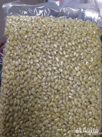 Кедровые орех и шишки