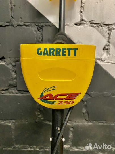 Металлоискатель Garret Ace 250 аренда