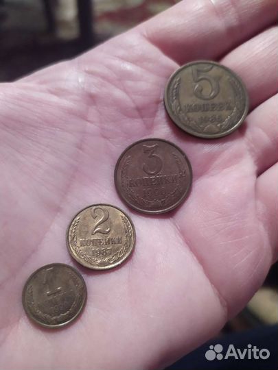 Хобби, коллекционирование