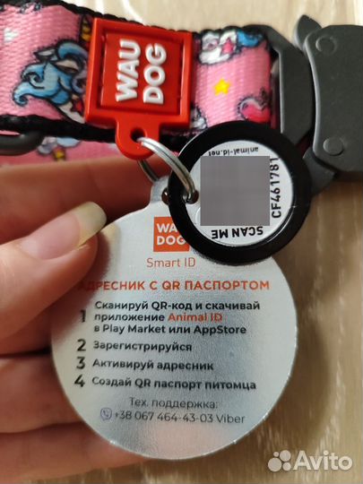 Амуниция для собак